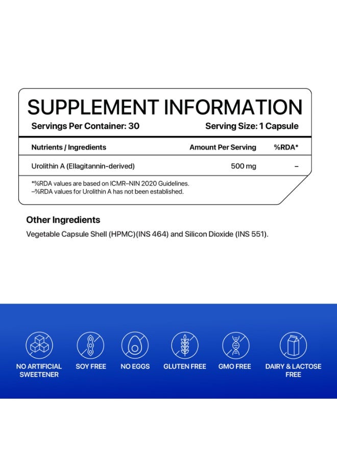 DECODE AGE Urolithin A 30 Capsules - Image 4