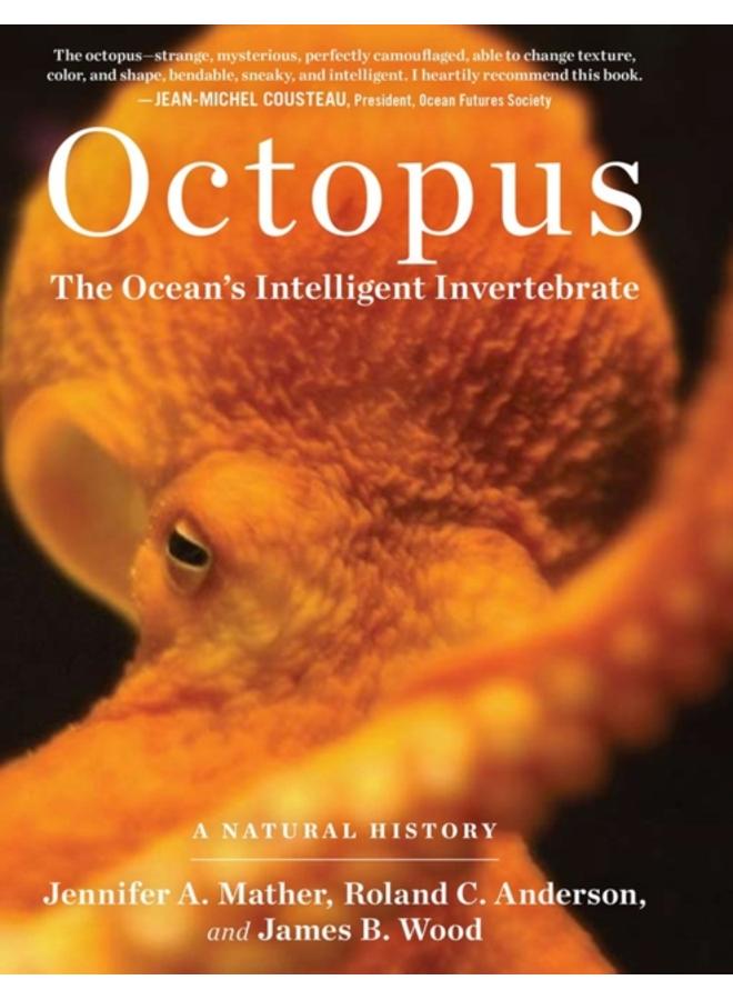 Octopus : The Ocean's Intelligent Invertebrate 