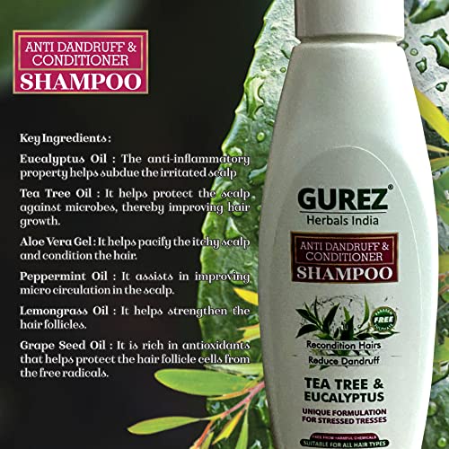 Gurez Anti Dandruff & Conditioner Shampoo 100 ML with Power of Tea Tree and Eucalyptus, Recondition Hair-Reduce Dandruff-Hydrates Scalp, Suitable For all Hair Type (Pack of 1) - Image 3