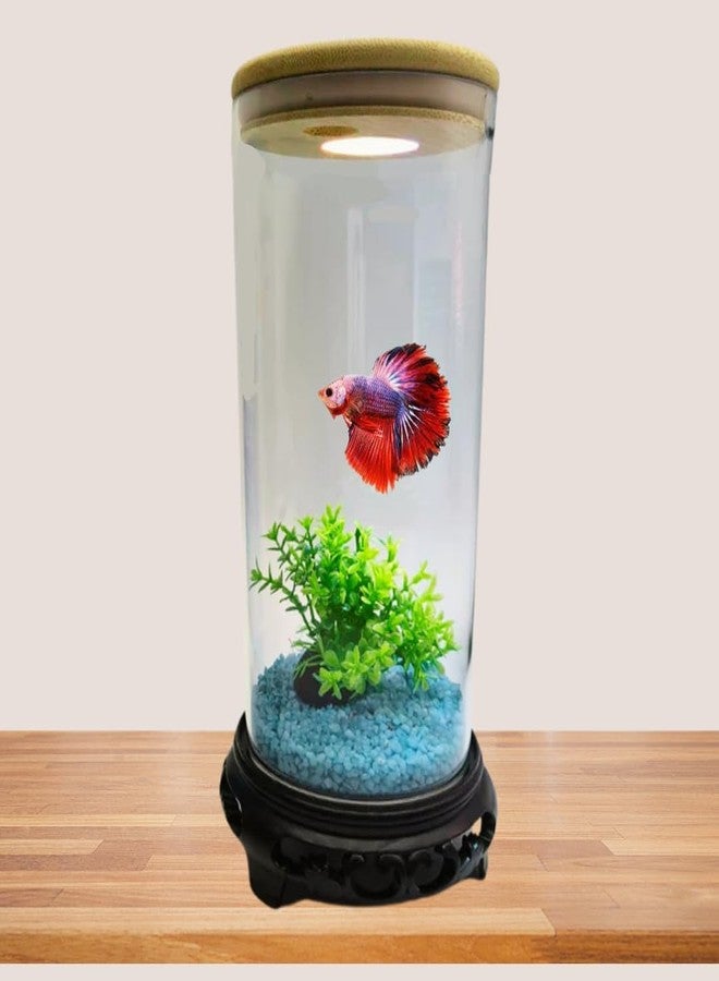 BluePet TP-10 Mini Aquarium Tank for Home & Office | Crystal Clear 4K Transparency Fish Bowl | Small Desktop Aquarium for Betta Fish, Shrimp & Aquatic Plants | Modern Nano Fish Tank - Image 1