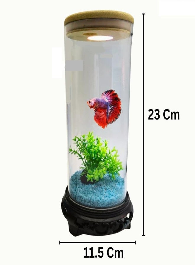 BluePet TP-10 Mini Aquarium Tank for Home & Office | Crystal Clear 4K Transparency Fish Bowl | Small Desktop Aquarium for Betta Fish, Shrimp & Aquatic Plants | Modern Nano Fish Tank - Image 5