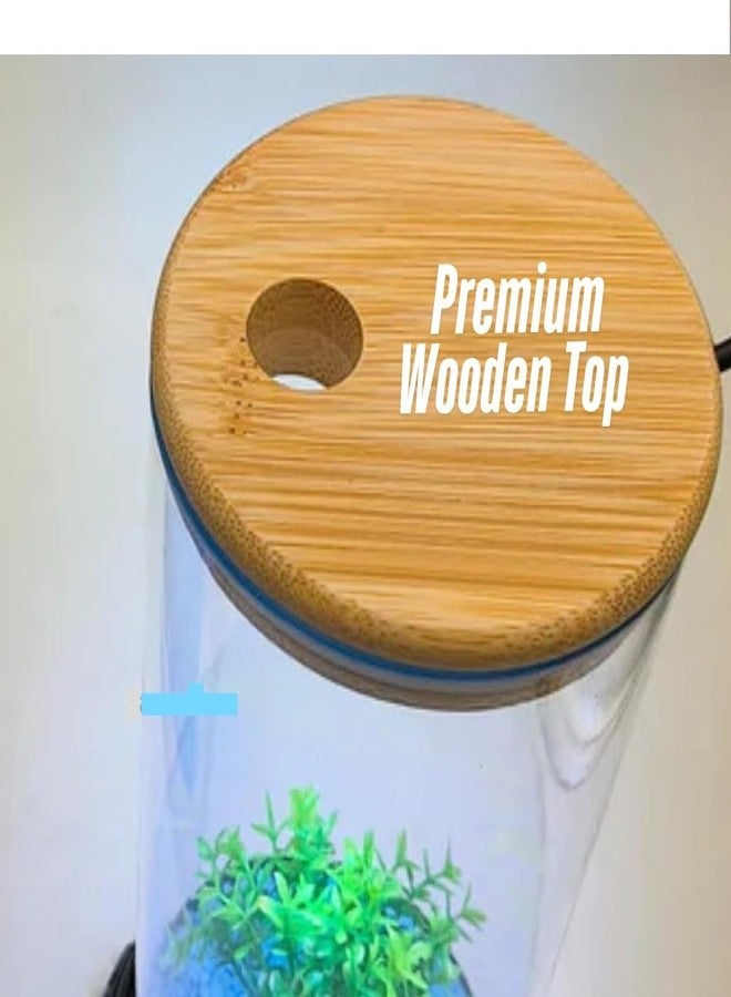 BluePet TP-10 Mini Aquarium Tank for Home & Office | Crystal Clear 4K Transparency Fish Bowl | Small Desktop Aquarium for Betta Fish, Shrimp & Aquatic Plants | Modern Nano Fish Tank - Image 4