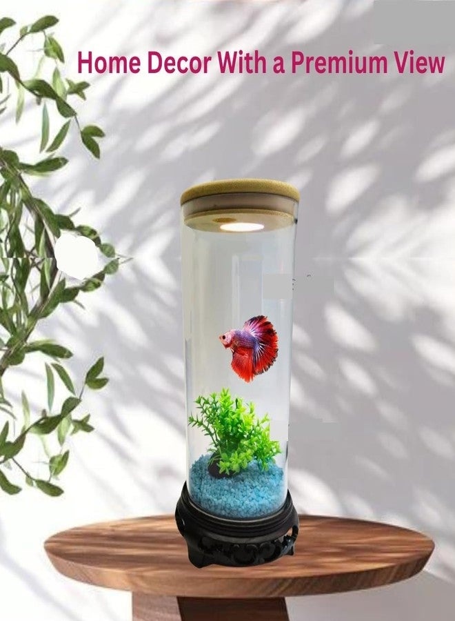 BluePet TP-10 Mini Aquarium Tank for Home & Office | Crystal Clear 4K Transparency Fish Bowl | Small Desktop Aquarium for Betta Fish, Shrimp & Aquatic Plants | Modern Nano Fish Tank - Image 2