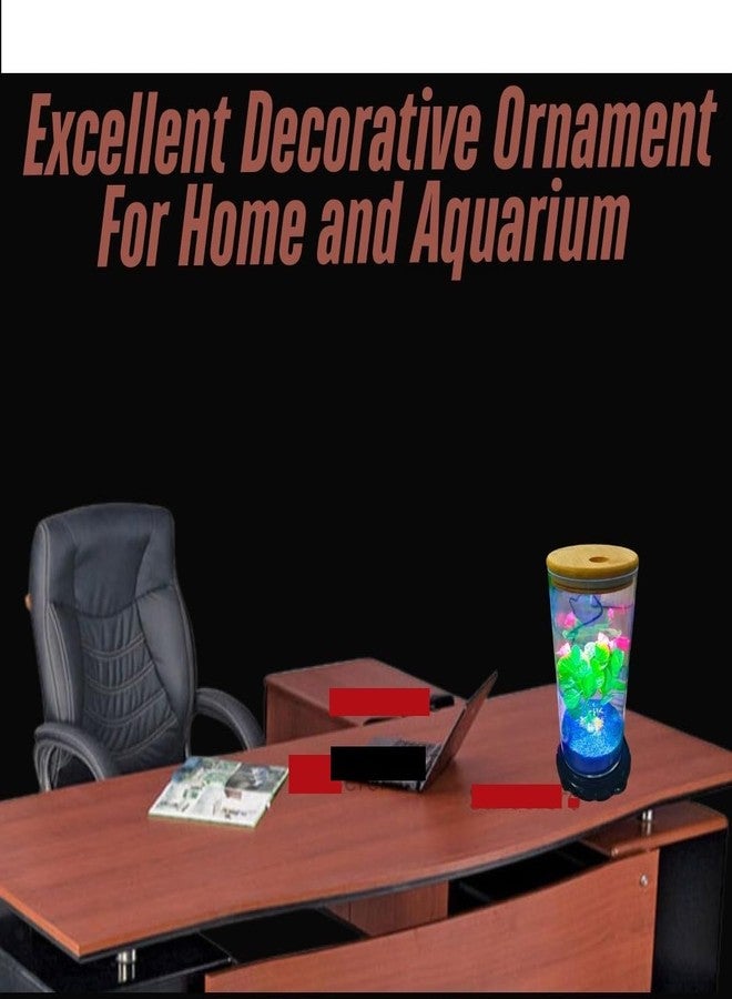 BluePet TP-10 Mini Aquarium Tank for Home & Office | Crystal Clear 4K Transparency Fish Bowl | Small Desktop Aquarium for Betta Fish, Shrimp & Aquatic Plants | Modern Nano Fish Tank - Image 3