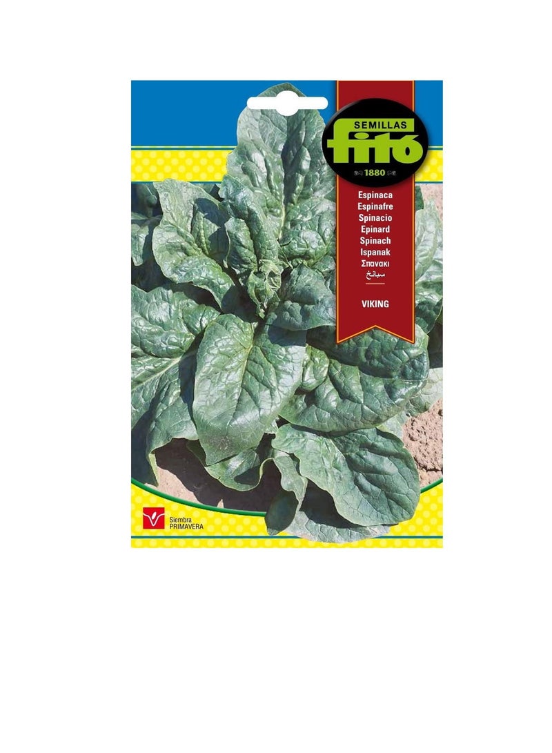 Fito SEMILLAS FITO SPINACH- VIKING - Image 3