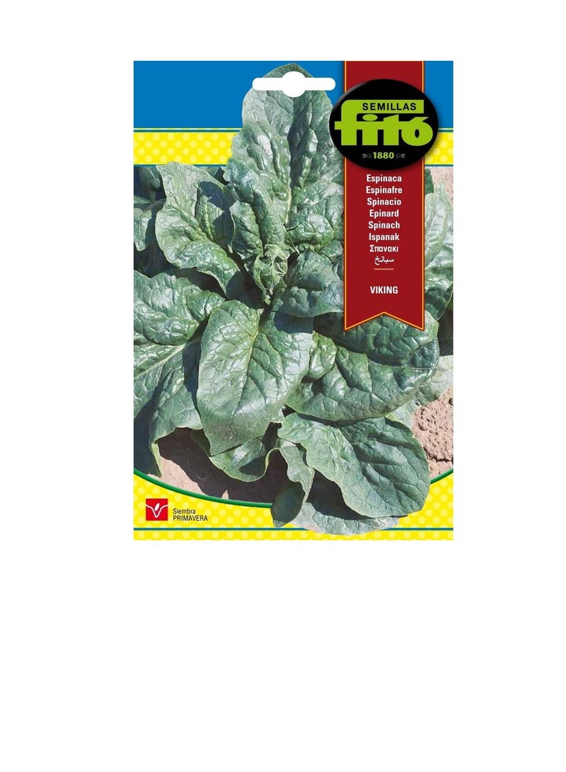 Fito SEMILLAS FITO SPINACH- VIKING - Image 1