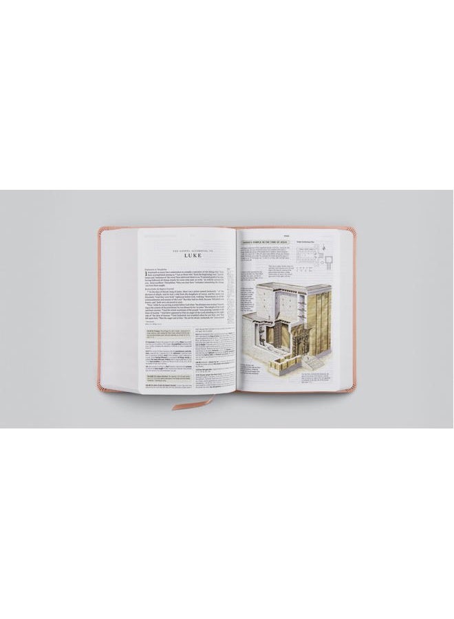Crossway ESV Study Bible, Personal Size (TruTone, Blush Rose, Fleur-de-lis Design) - Image 5