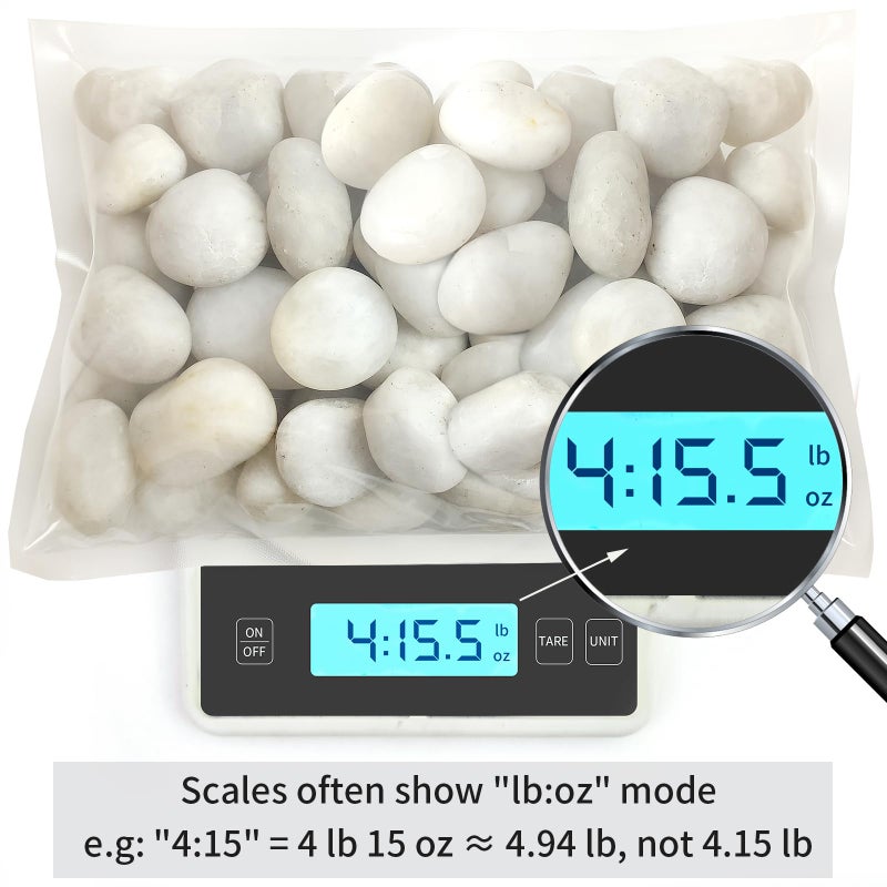 FANTIAN 5 lbs White River Rocks, Polished Pebbles for Indoor Plants, 1-2 inch Decorative White Stones for Plants Vase Aquarium Fish Tank and Outdoor Garden Landscaping Rocks - Image 4