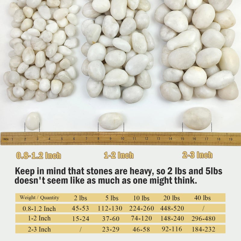 FANTIAN 5 lbs White River Rocks, Polished Pebbles for Indoor Plants, 1-2 inch Decorative White Stones for Plants Vase Aquarium Fish Tank and Outdoor Garden Landscaping Rocks - Image 2