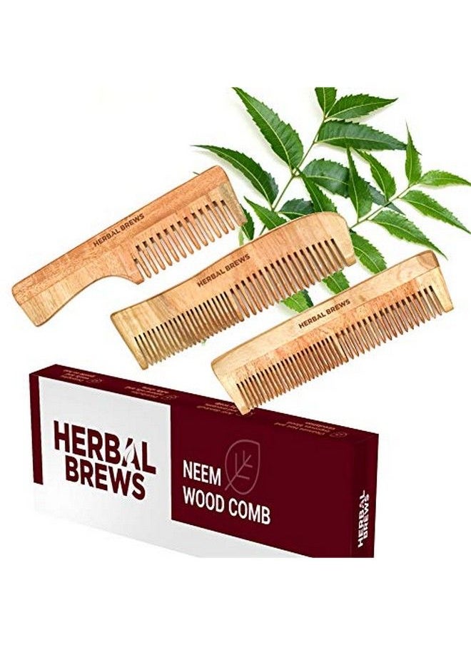 HERBAL BREWS - Desi Neem Wooden Comb for Women & Men | Hair Growth | AntiBacterial Dandruff Remover & Hair Styling Comb | Handcrafted (Set of 3) - Image 1