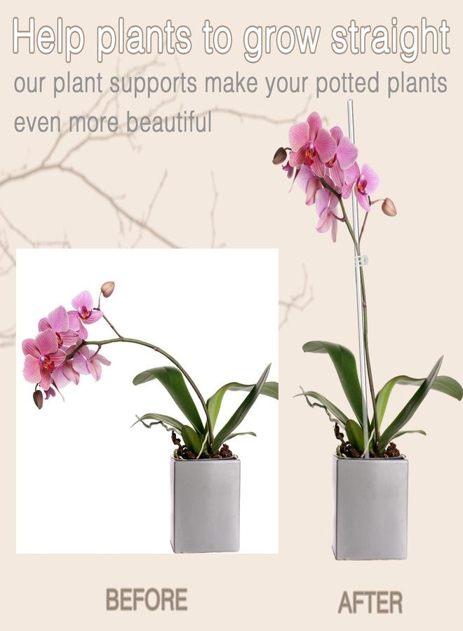 LECAMEBOR Plant Stakes, 20PCS Acrylic Clear, 18 Inches, Garden Single Stem Orchid Stakes for Indoor and Outdoor Plants, Orchid, Potted Plants, Tomatoes, Flowers (with 20PCS Clips) - Image 3