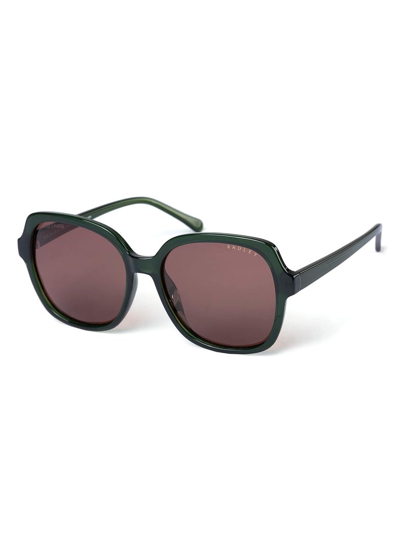 Radley نظارات شمسية مستديرة للنساء RDS-6505 ملونة باللون الأخضر 57 مم - Image 1