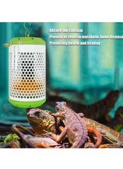 Reptile Heat Lamp 100W with Guard - Infrared Heat Light for Lizards, Tortoises, Chickens, Amphibians & Poultry - E27 Socket, Anti-Hot Lampshade, Ideal for Reptile Habitats - pzsku/Z2B6E9EF24AAE49F0731CZ/45/_/1726228560/e4538f18-6992-4e91-a8b0-7304f9b7cdc1