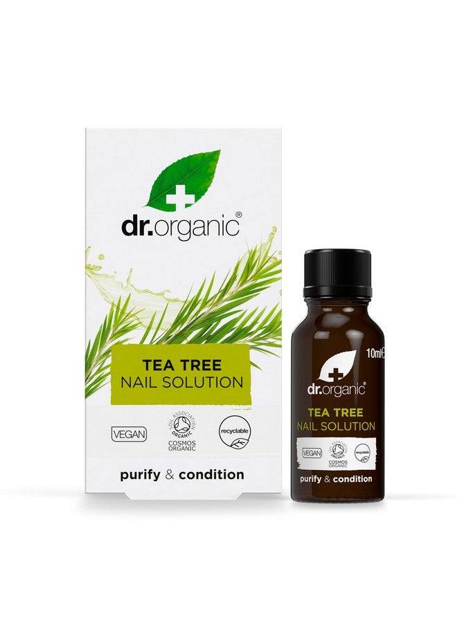 دكتور أورجانيك محلول شجرة الشاي العضوي للأظافر من شركة Organic Doctor، 0.34 أونصة سائلة - Image 1