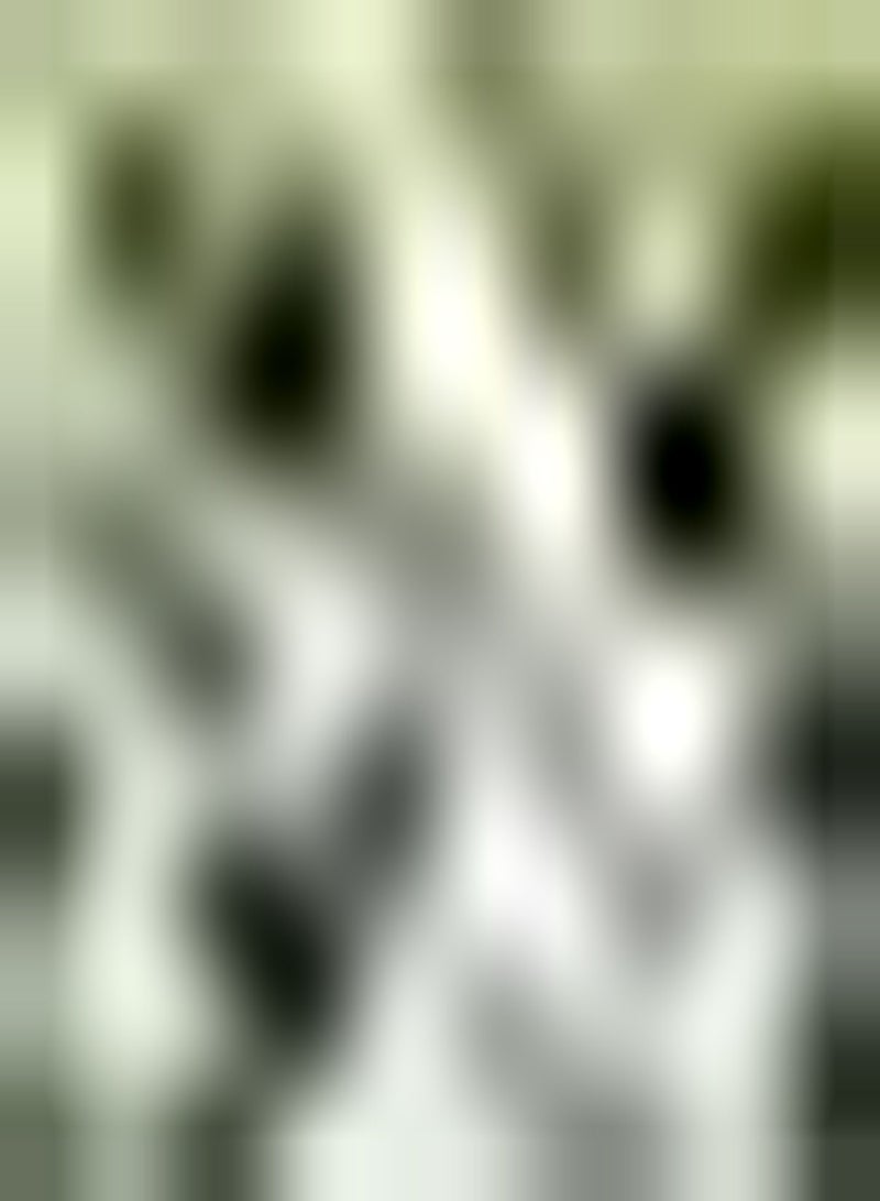 GGOOT 50Stück weiße Lavendelsamen schöne Duftblumen für die Gartenarbeit im Innenhof die Schmetterlinge und Bienen anzieht Lavendelspray - Image 2