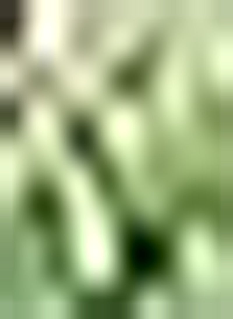 GGOOT 50Stück weiße Lavendelsamen schöne Duftblumen für die Gartenarbeit im Innenhof die Schmetterlinge und Bienen anzieht Lavendelspray - Image 1