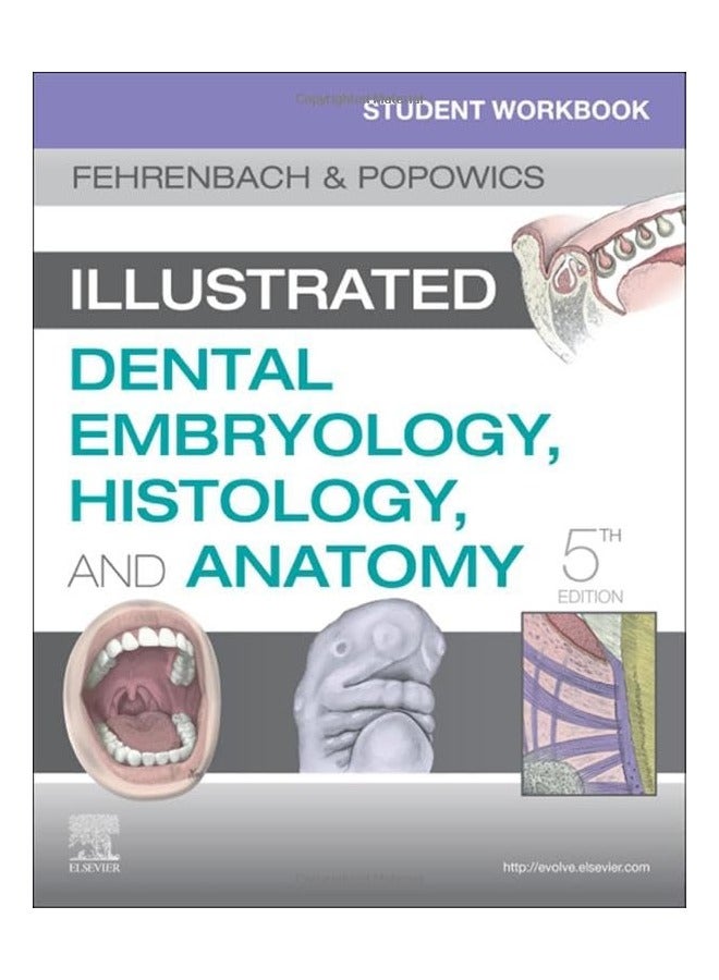 Student Workbook For Illustrated Dental Embryology Histology And Anatomy