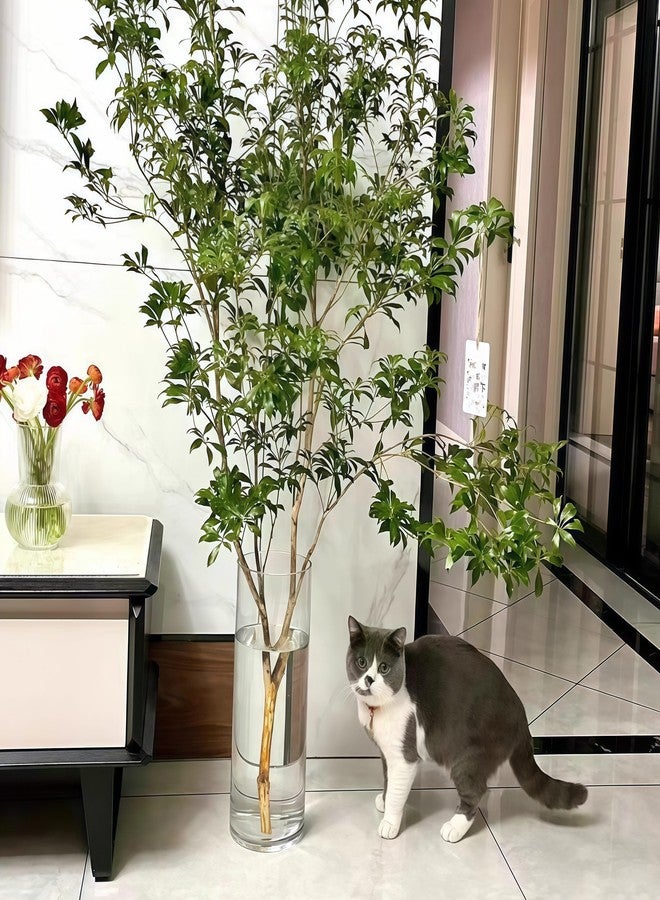 Liotww Extra Large Acrylic Cylinder Clear Vase for Floor, 20 in Tall Big Wide Mouth Plastic Unbreakable Hurricane Flower Vases of 3 for Home Decor (D 8", D 6", D 4.8" + 3 Holder) - Image 5