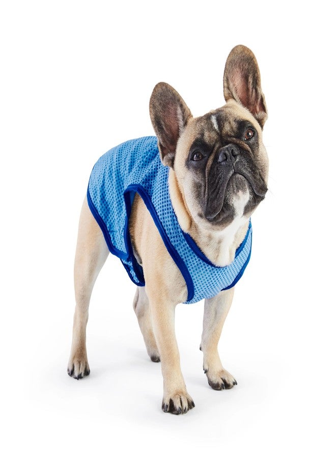 GF Pet GC331-6 ElastoFit Cooling Ice Vest 2XL - Image 1