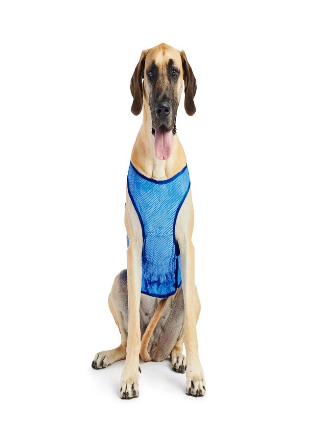 GF Pet GC331-6 ElastoFit Cooling Ice Vest 2XL - Image 4