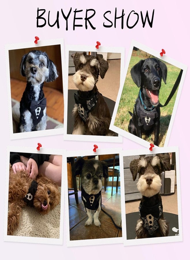 BINGPET Dog Tuxedo Harness for Small Medium Dogs, No Pull Dog Harness and Leash Set,Soft Padded Mesh Step-in Dog Vest Tux Costume for Wedding Outfit Birthday Party Holiday,Pet Formal Wear with Bowtie - Image 5
