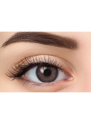 Bonita Daily Gray Color Pack of 10