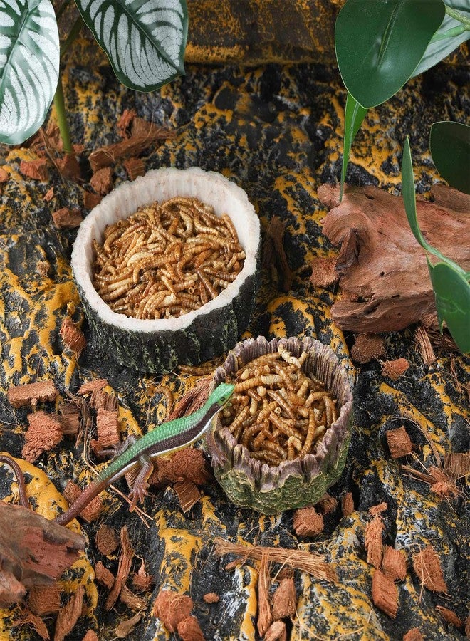 IBWell 2pcs Reptile Water Bowl with Feeding Tweezers - Food Dish for Lizard, Snake, Tortoise & Small Animals - Gray Tree Stump - Image 3