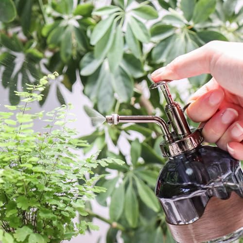 OFFIDIX Glass Plant Mister, 6.3 Inches Tall Vintage Style Spritzer Bronze Plastic Top Pump One Hand Watering Can Indoor Plant Spray Bottle for Garden, Plants, Cleaning (Distant Hill) - Image 3