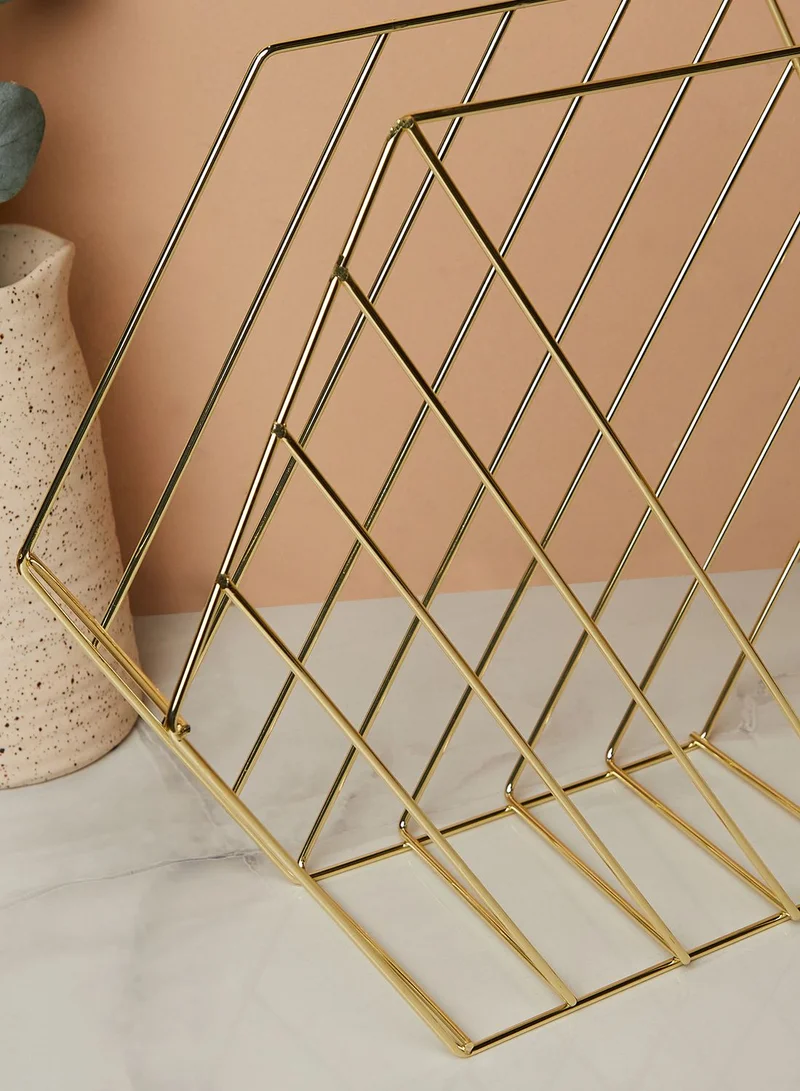 Premier Vertex Plated Hexagonal Wire Magazine Rack