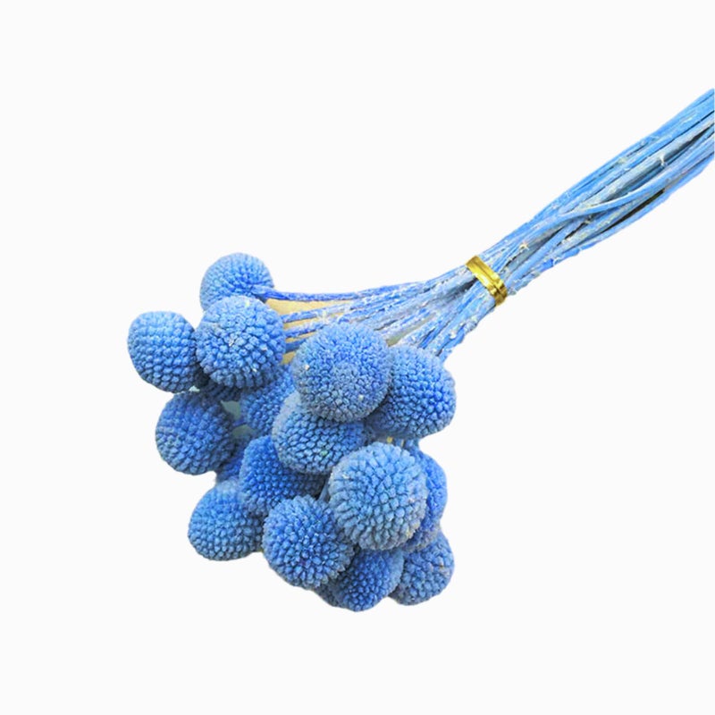 MLSG 20Pcs Natural Dried Flowers Light Blue Billy Balls Flowers 16 Dried Flower Bouquet Flowers Arrangements Bouquet for Boho Vases for Decor Wedding Home Party Blue