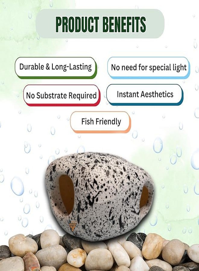 GIG BAZAAR Aquarium Stone Rock Cave, Speckled Granite Design, Hidden Space for Fish and Shrimp Shelter, Tank Decoration Ornament Accessories Pack of-2 (White) - Image 5
