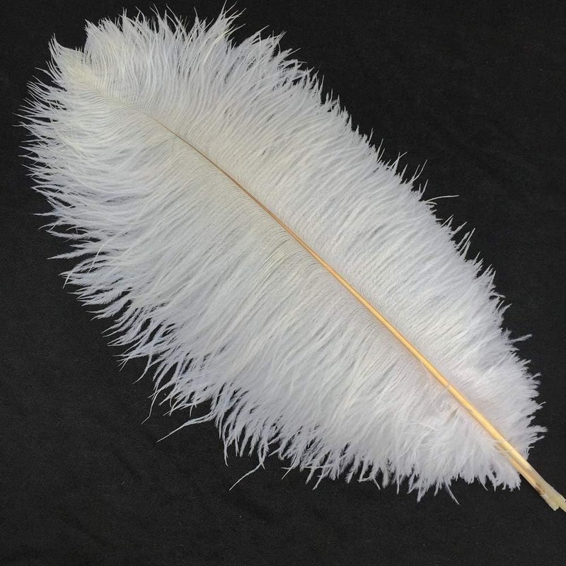 Sowder 5pcs Ostrich Feathers 16-18inch(40-45cm) Home Wedding Decoration(White) - Image 2