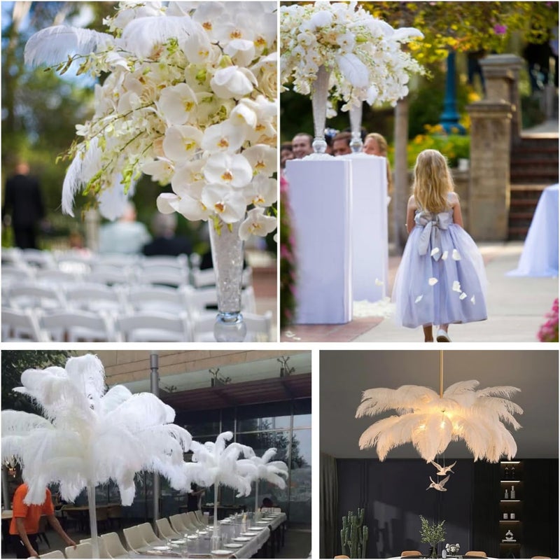 Sowder 5pcs Ostrich Feathers 16-18inch(40-45cm) Home Wedding Decoration(White) - Image 5