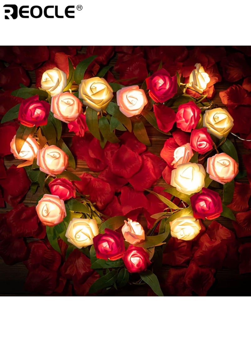 REOCLE 9.8Ft / 20LED Romantic Rose Flower String Lights Operated Multicolor Rose Bud Lights Garland for Birthday Party Fairy Lights for Valentines Day Wedding Indoor Outdoor Decor - Image 2