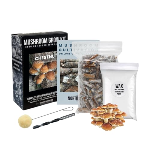North Spore Organic Chestnut Outdoor Mushroom Log Growing Kit | Includes 100 ct. Bag of Plug Spawn | Complete Log Starter Kit with Instructions | Handmade in Maine, USA - Image 1