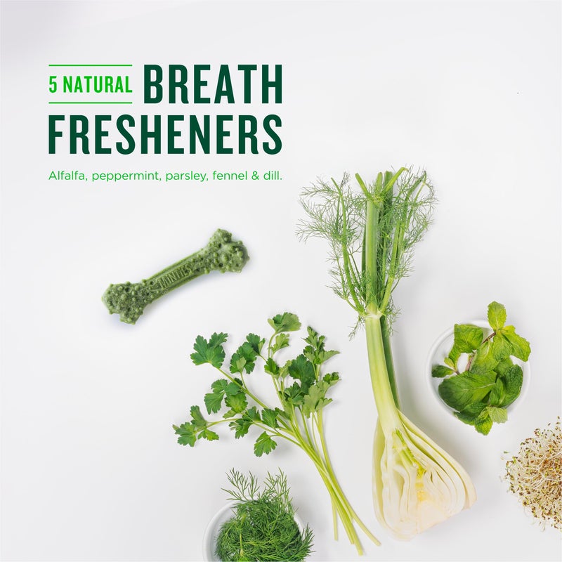 Minties Dental Chews for Dogs, 40 Count, Vet-Recommended Mint-Flavored Dental Treats for Tiny/Small Dogs 5-24 lbs, Dental Bones Clean Teeth, Fight Bad Breath, and Removes Plaque and Tartar - Image 5