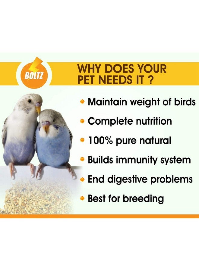 Boltze Bird Food For Budgies - 2400Gm, Natural & Healthy Premium Mix Seeds For Budgies, Daily Bird Budgies Food Seeds, All Birdslife Stages For Everyday Feeding (Mix Seed, 2400Gm) - Image 2