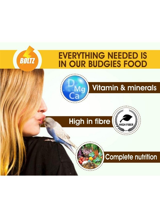 Boltze Bird Food For Budgies - 2400Gm, Natural & Healthy Premium Mix Seeds For Budgies, Daily Bird Budgies Food Seeds, All Birdslife Stages For Everyday Feeding (Mix Seed, 2400Gm) - Image 5