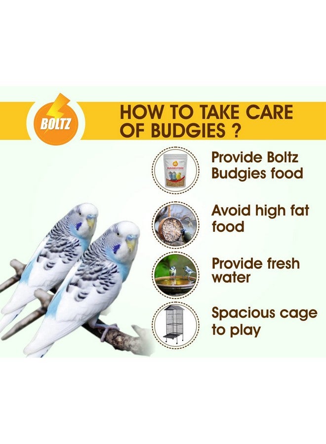 Boltze Bird Food For Budgies - 2400Gm, Natural & Healthy Premium Mix Seeds For Budgies, Daily Bird Budgies Food Seeds, All Birdslife Stages For Everyday Feeding (Mix Seed, 2400Gm) - Image 4