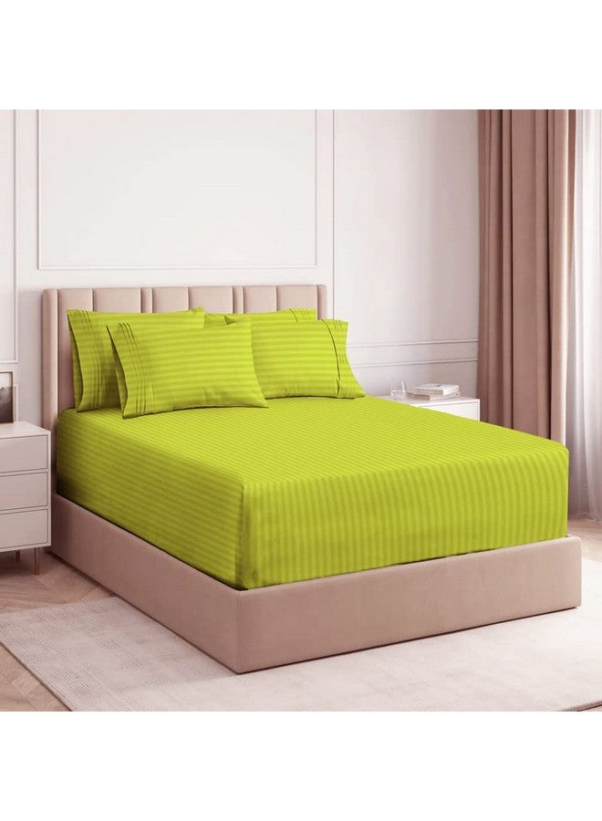 VAS COLLECTIONS VAS COLLECTION Premium 210 TC Cotton Satin Striped Elastic Fitted Bedsheets with 2 Pillow Covers | Double Bed with All Around Elastic Supersoft | Size - 78x72+10 inches, Parrot - Image 2