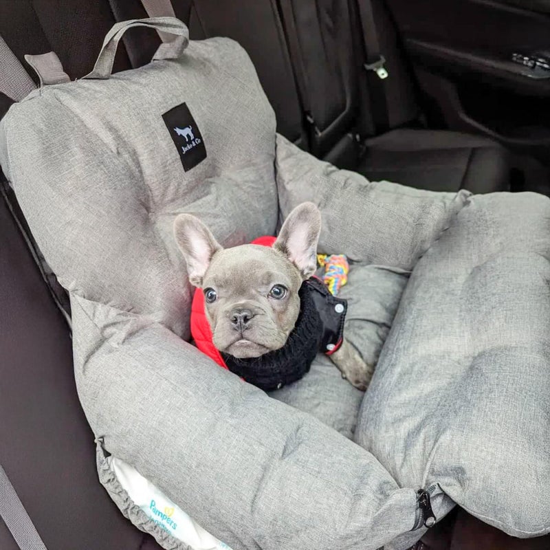 JACKO & CO Premium Dog Car Seat â€“ Safe & Cozy Travel Bed and Carrier for Small Dogs, Puppies, Pets up to 25 lbs, Clip-On Leash & Storage Pockets, Water-Resistant, Machine Washable (Grey Small) - Image 5