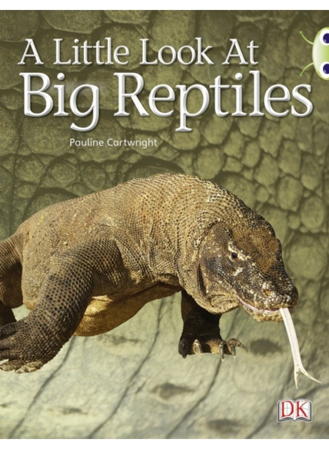 Bug Club Guided Non Fiction Year 1 Blue B A Little Look at Big Reptiles - Paperback
