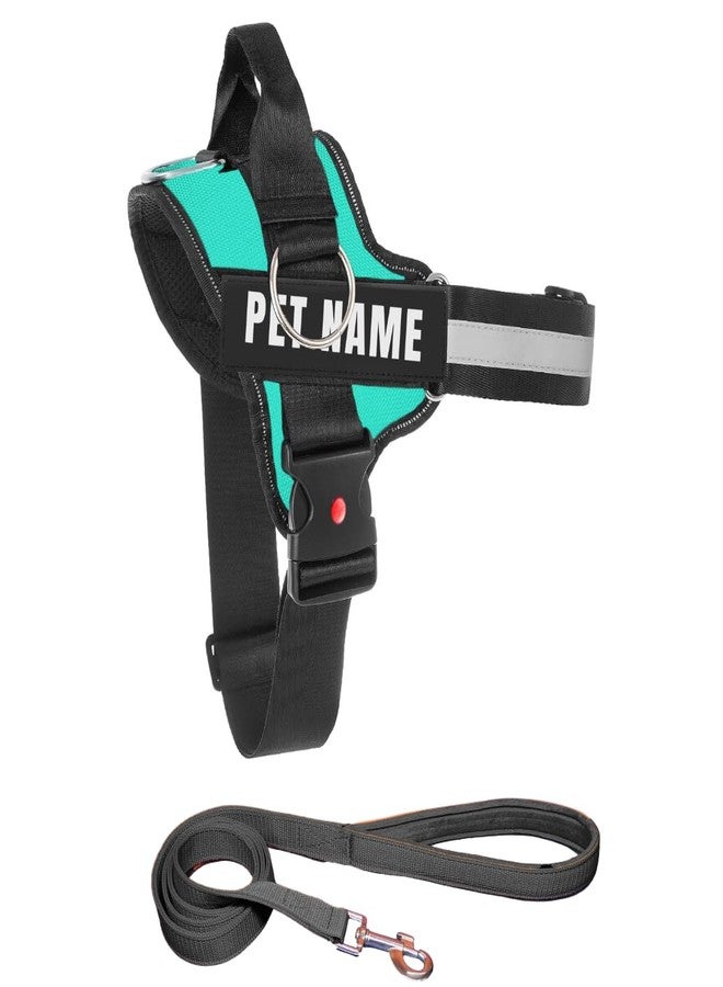 KIKA Pets No Pull Dog Harness with Name | Custom Dog Harness for Large Dogs German Shepherd Rottweiler, Extra Large Size (for Above 36 kg Dogs) Sea Green with Leash Padded - Image 1