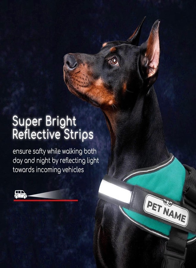 KIKA Pets No Pull Dog Harness with Name | Custom Dog Harness for Large Dogs German Shepherd Rottweiler, Extra Large Size (for Above 36 kg Dogs) Sea Green with Leash Padded - Image 4