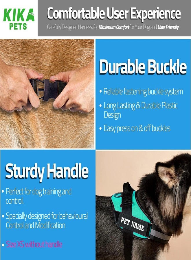 KIKA Pets No Pull Dog Harness with Name | Custom Dog Harness for Large Dogs German Shepherd Rottweiler, Extra Large Size (for Above 36 kg Dogs) Sea Green with Leash Padded - Image 5
