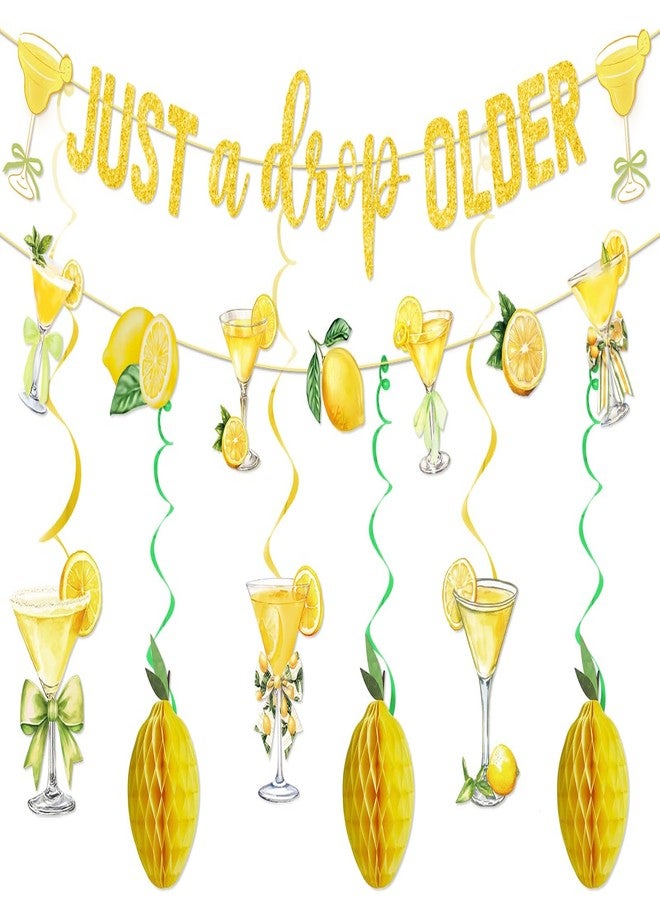 MZ.ogm Just A Drop Older Gold Glitter Banner with Hanging Swirls Lemon Party Decorations Lemon Themed Party Decor Lemon Birthday Decorations - Image 1