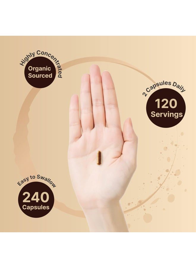 NatureBell Ceylon Cinnamon Per Serving, 240 Capsules - Image 4