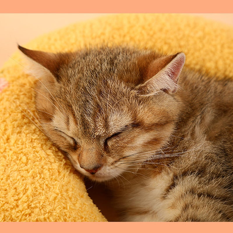 2pcs Household Pet Sleeping Neck Sleeping Pillow - Image 2