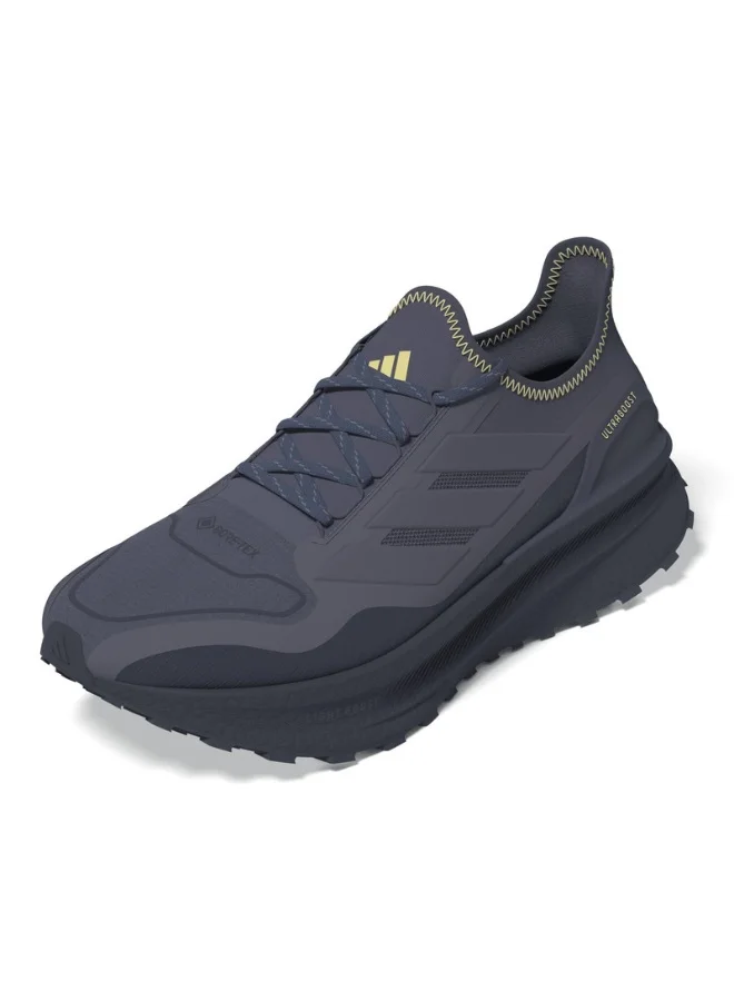 Adidas Adidas Ultraboost 5 Gtx M Purple Running Shoes For Men