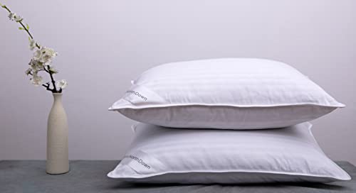 ArcticNorthDown Goose Down Feather Hotel Collection Bed Pillows for Sleeping Pair Standard Pillows for Back, Stomach or Side Sleepers Stripe White Color Set of 2 Pillows - Image 1